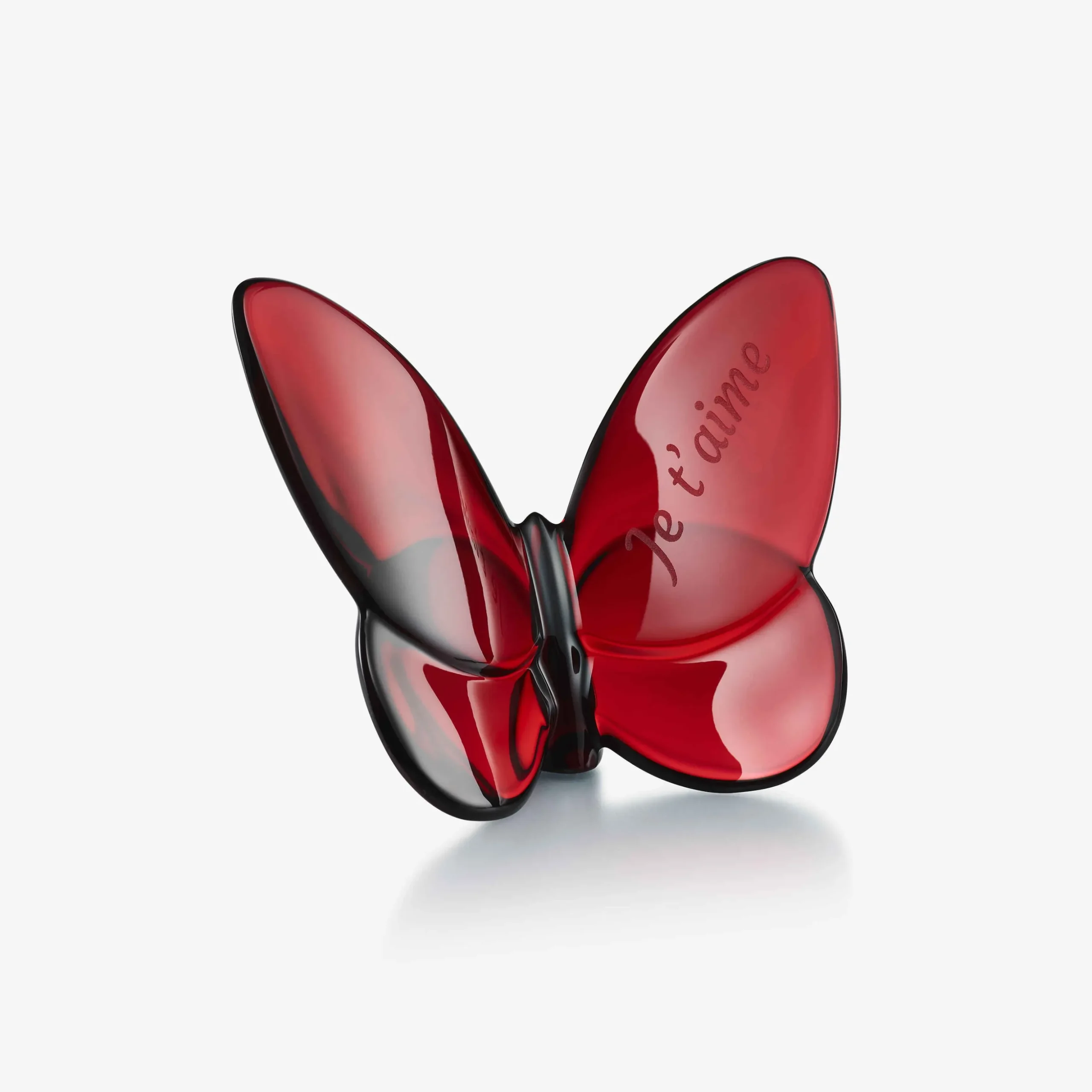Papillon porte-bonheur (Je t'aime)